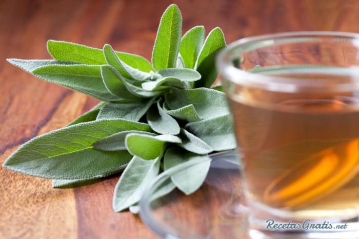 Beneficios de la infusión de salvia